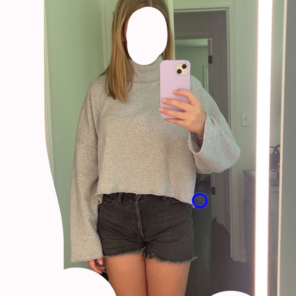 American Eagle Turtle Neck Long Sleeve Crop Top